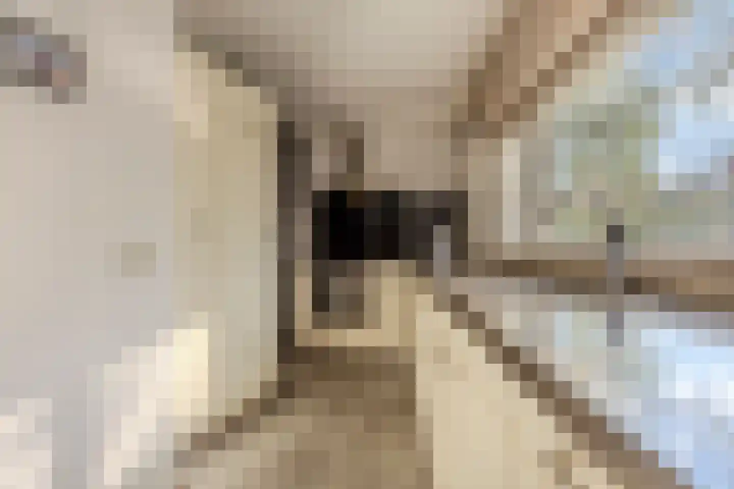 Sering 58 Cuijk thumbnail 10