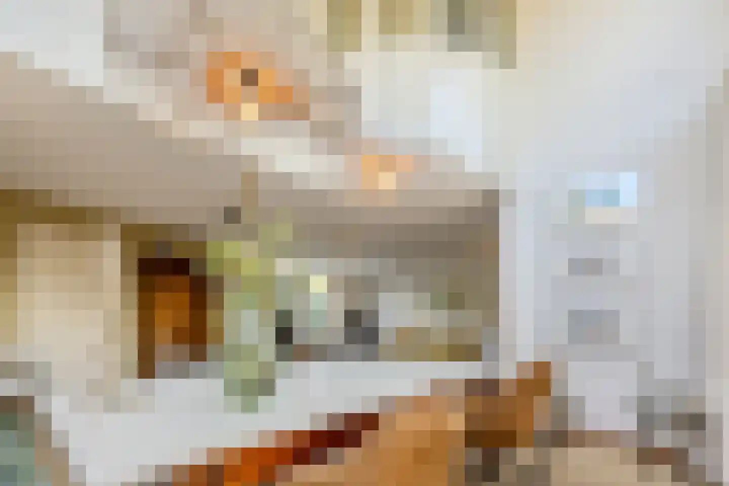 Sering 58 Cuijk thumbnail 12