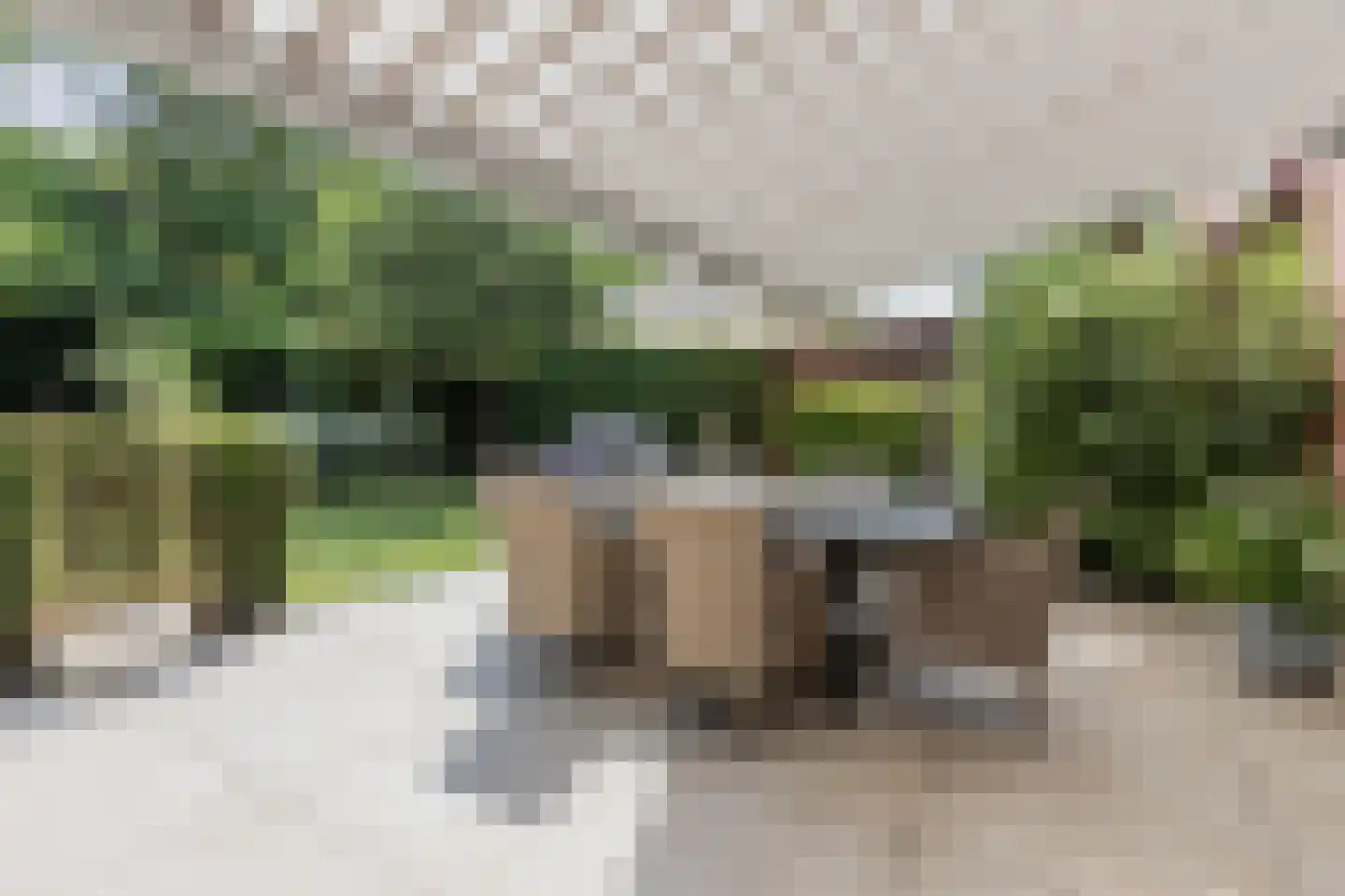 Sering 58 Cuijk thumbnail 23