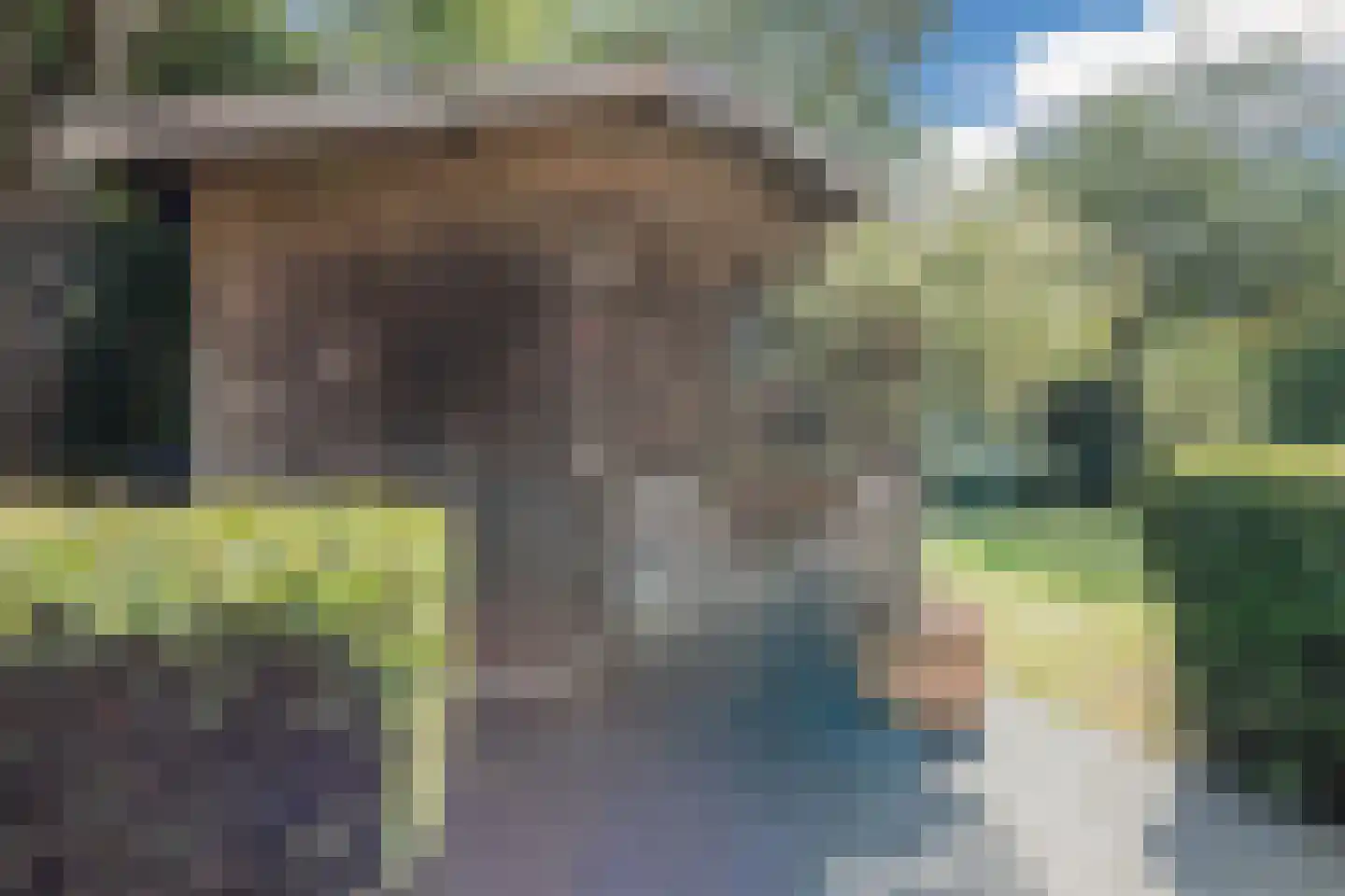 Sering 58 Cuijk thumbnail 24