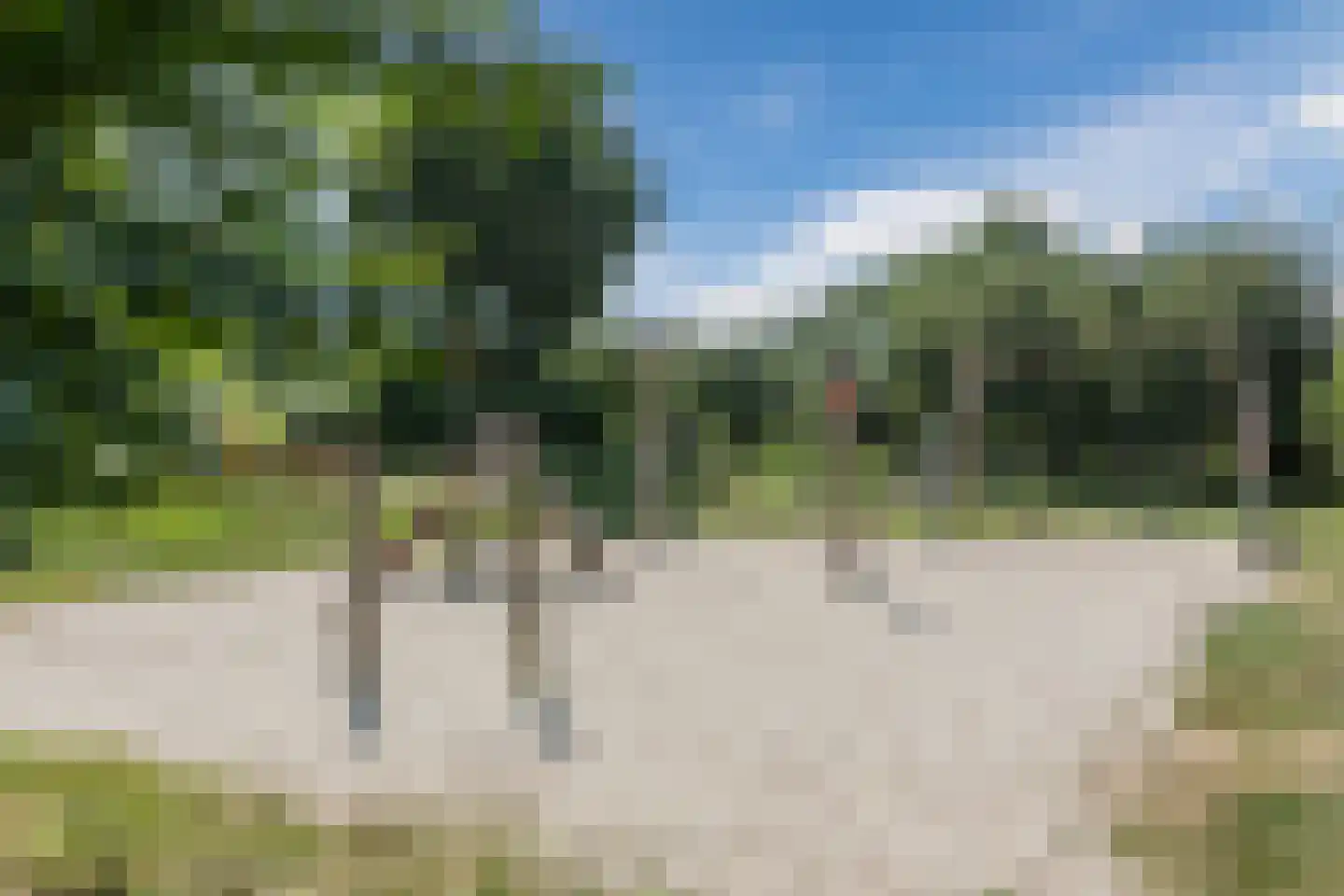 Sering 58 Cuijk thumbnail 28