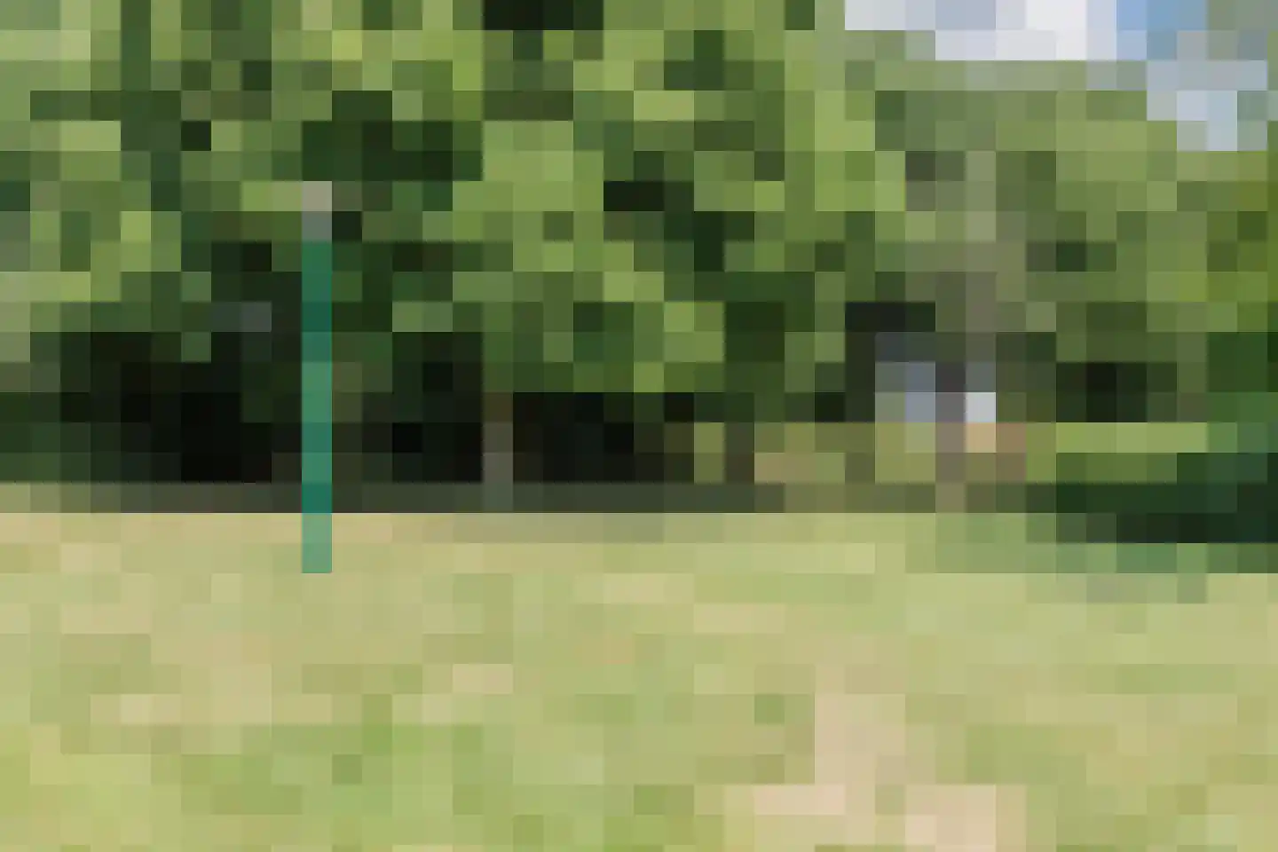 Sering 58 Cuijk thumbnail 29