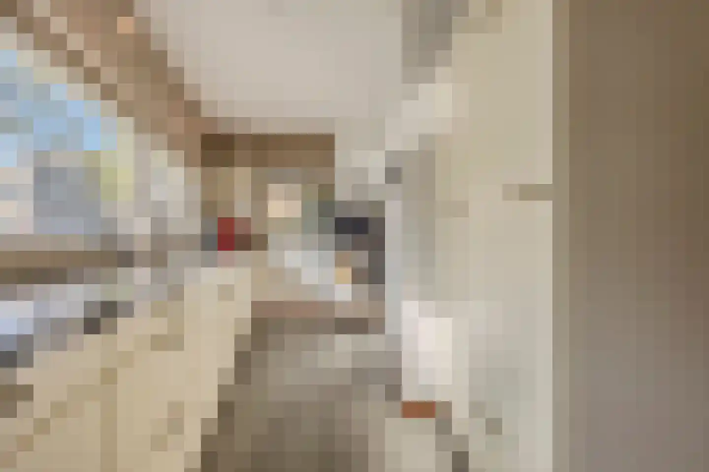 Sering 58 Cuijk thumbnail 9