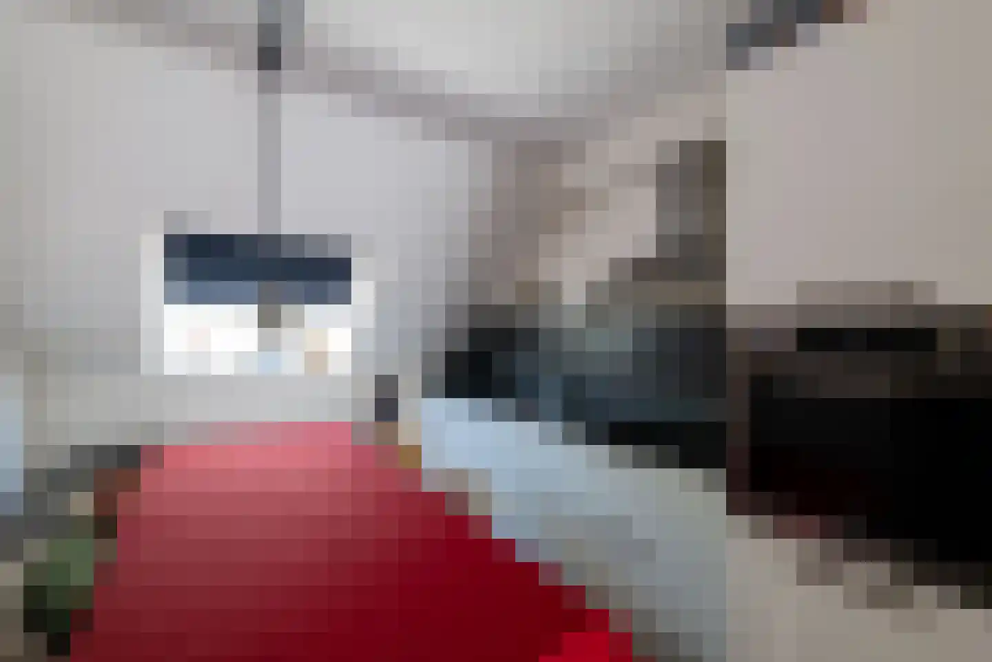 Sering 98 Hellevoetsluis thumbnail 11