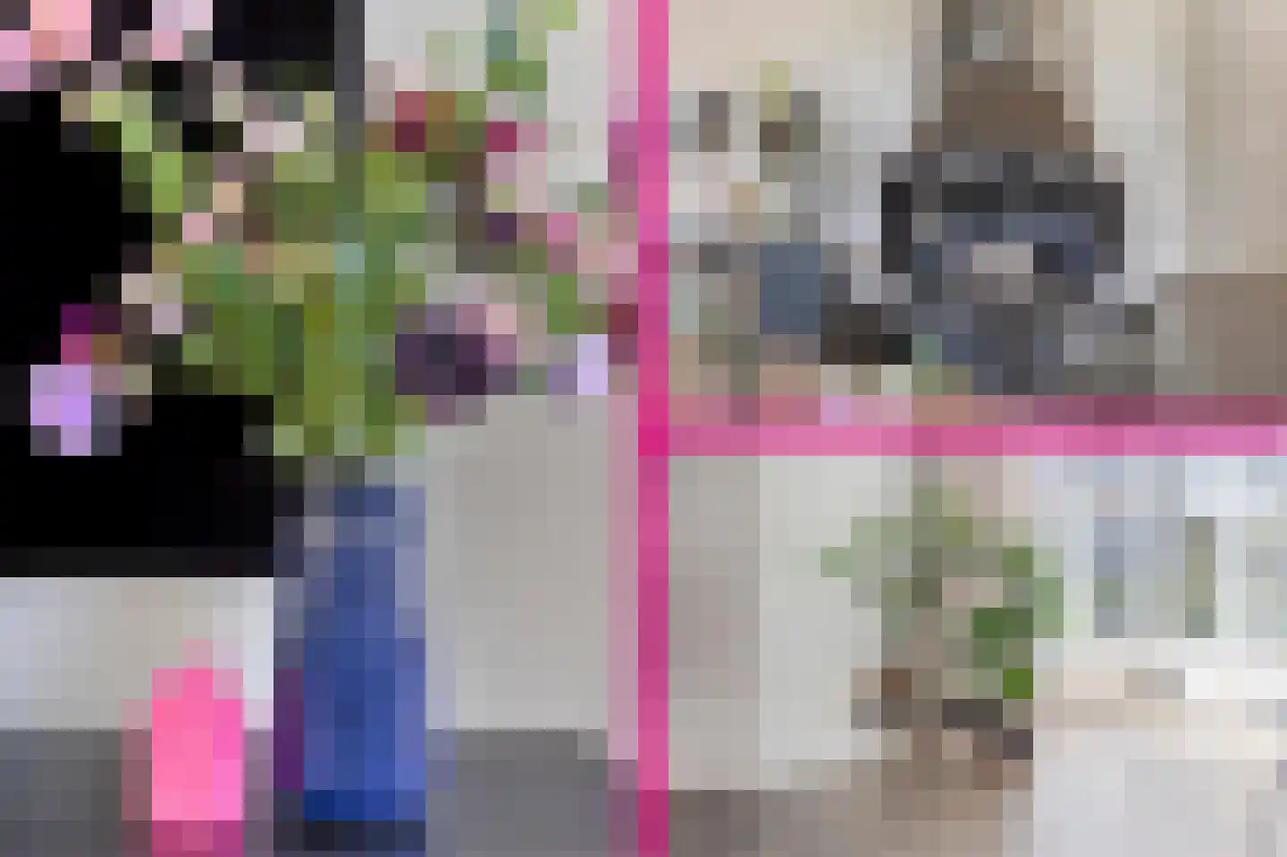 Seringelaar 7 Veghel thumbnail 15