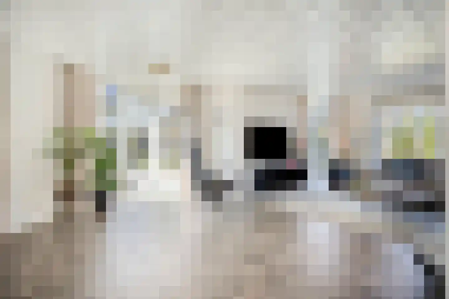 Seringelaar 7 Veghel thumbnail 16