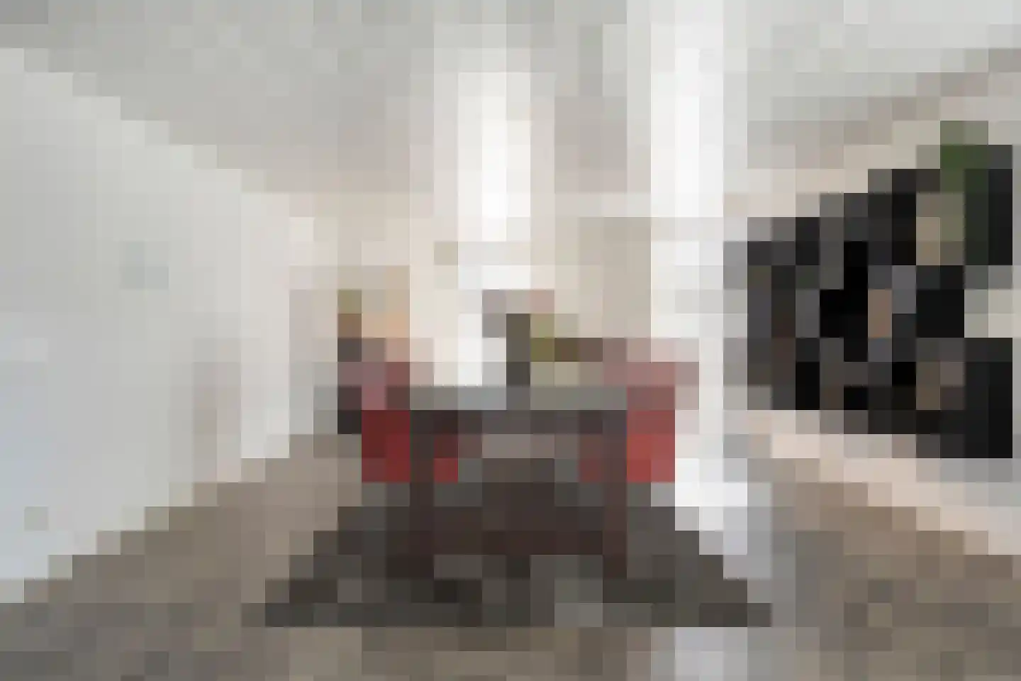Seringelaar 7 Veghel thumbnail 18