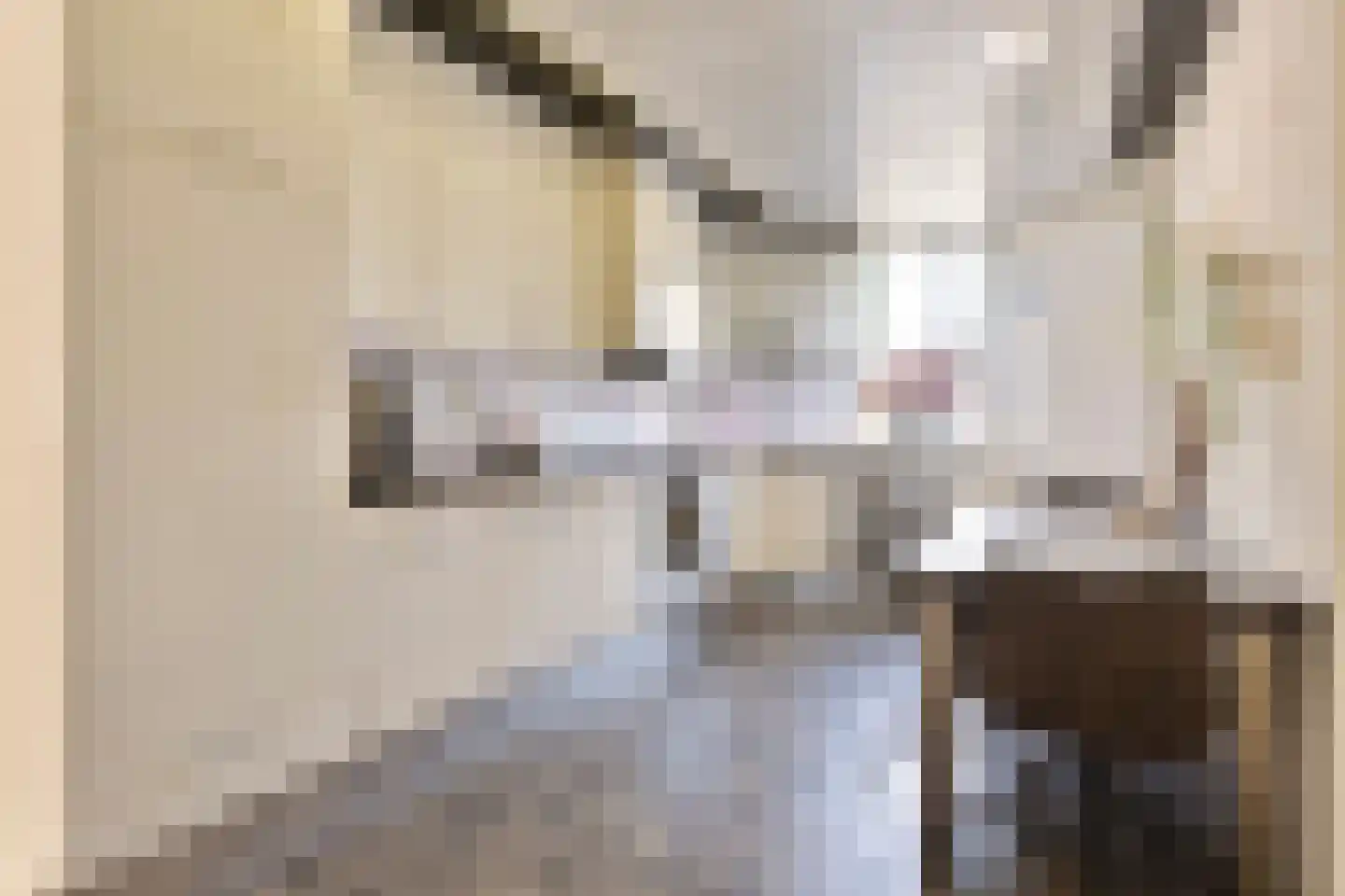 Seringelaar 7 Veghel thumbnail 22