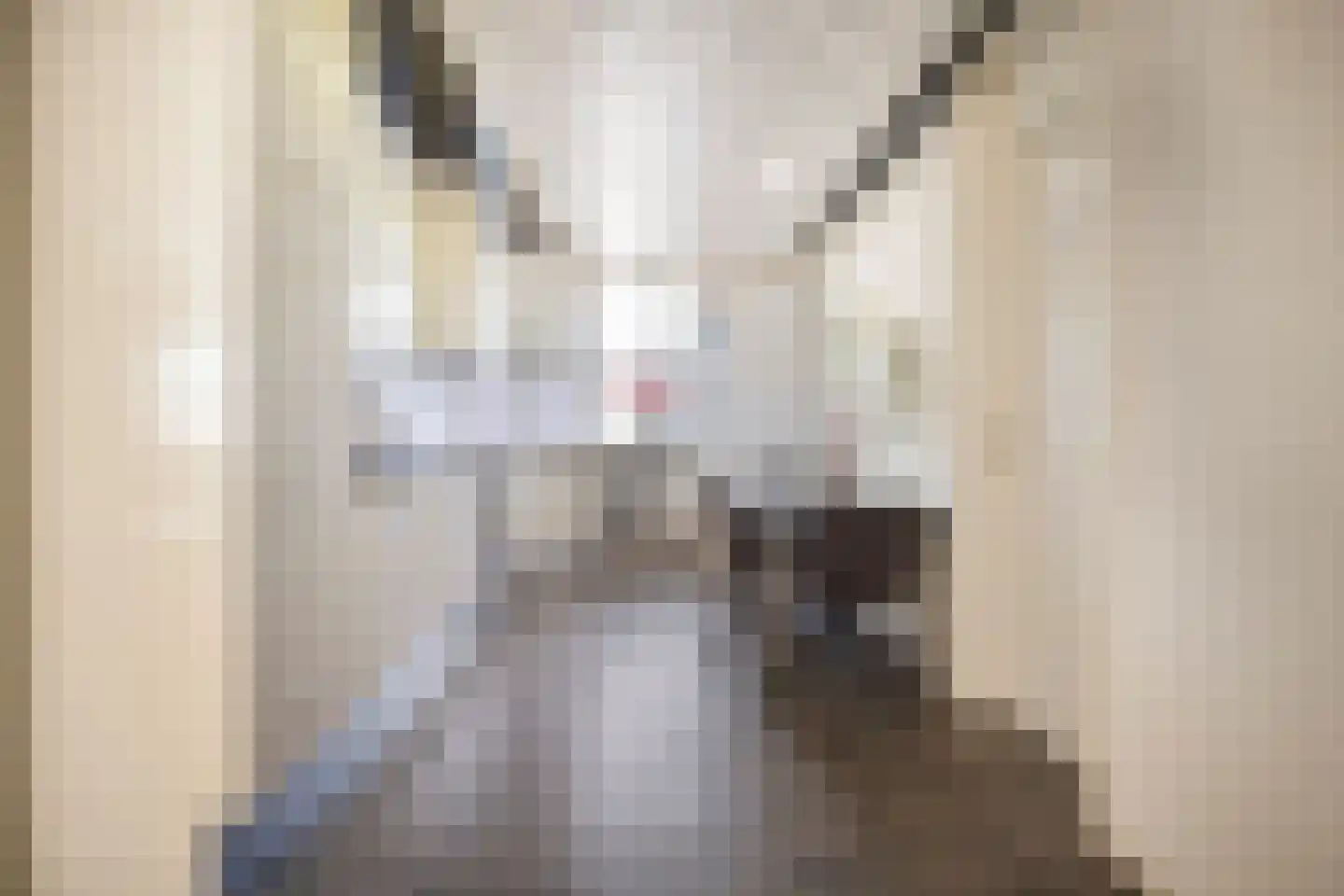 Seringelaar 7 Veghel thumbnail 24