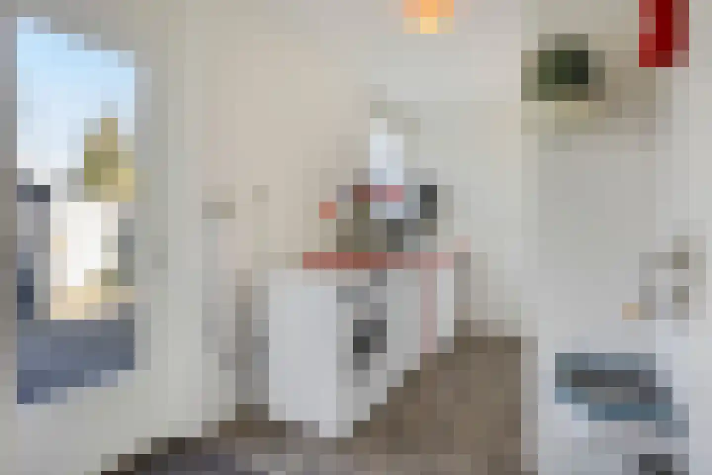 Seringelaar 7 Veghel thumbnail 28