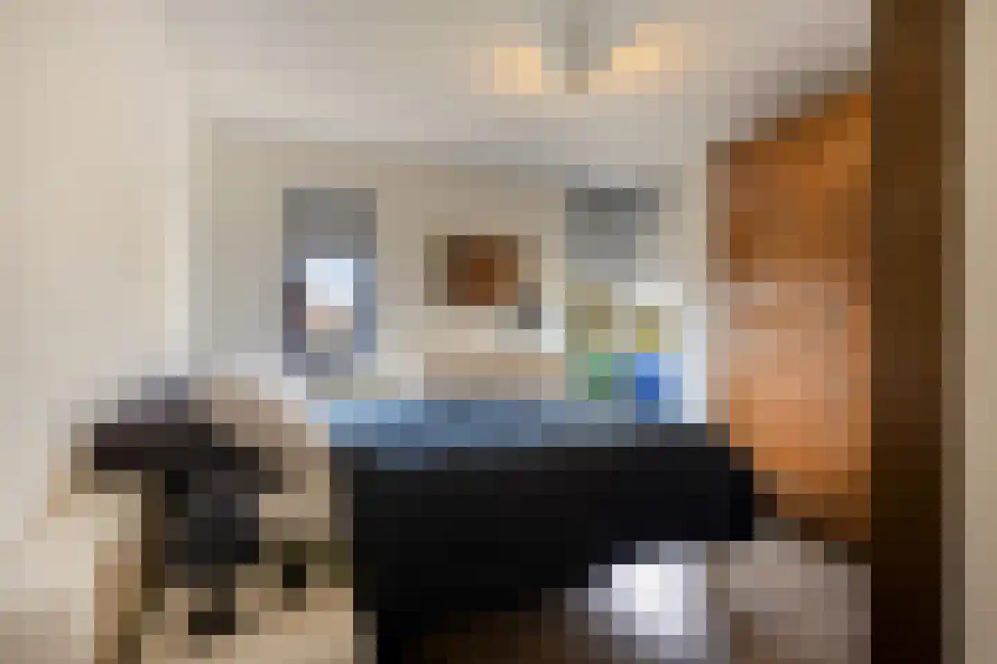 Seringelaar 7 Veghel thumbnail 32