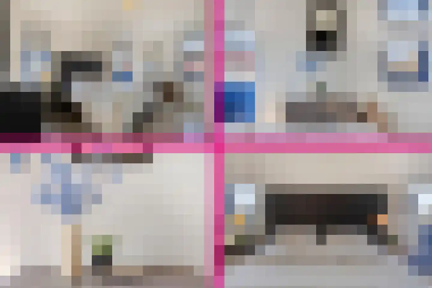 Seringelaar 7 Veghel thumbnail 38