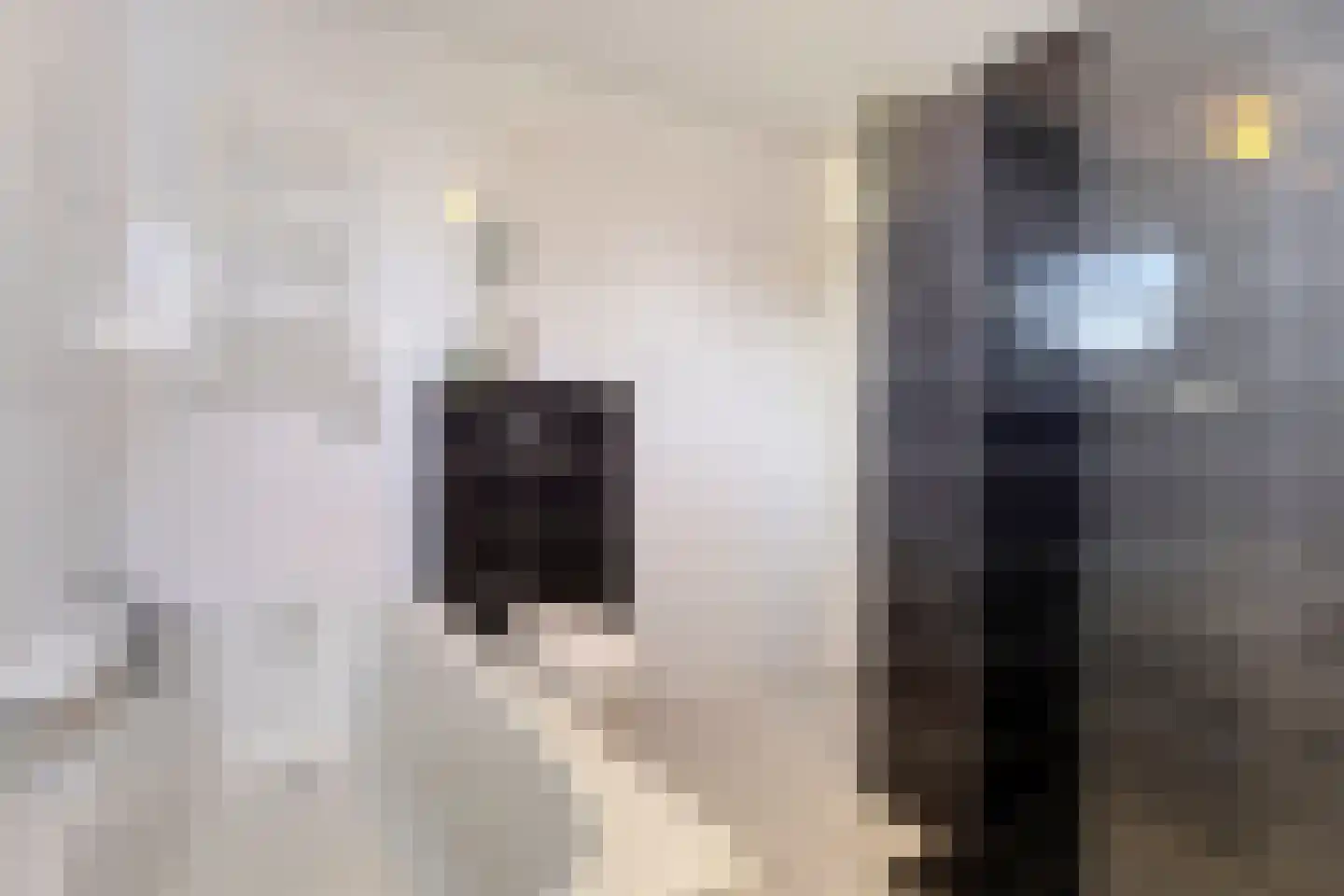 Seringelaar 7 Veghel thumbnail 43