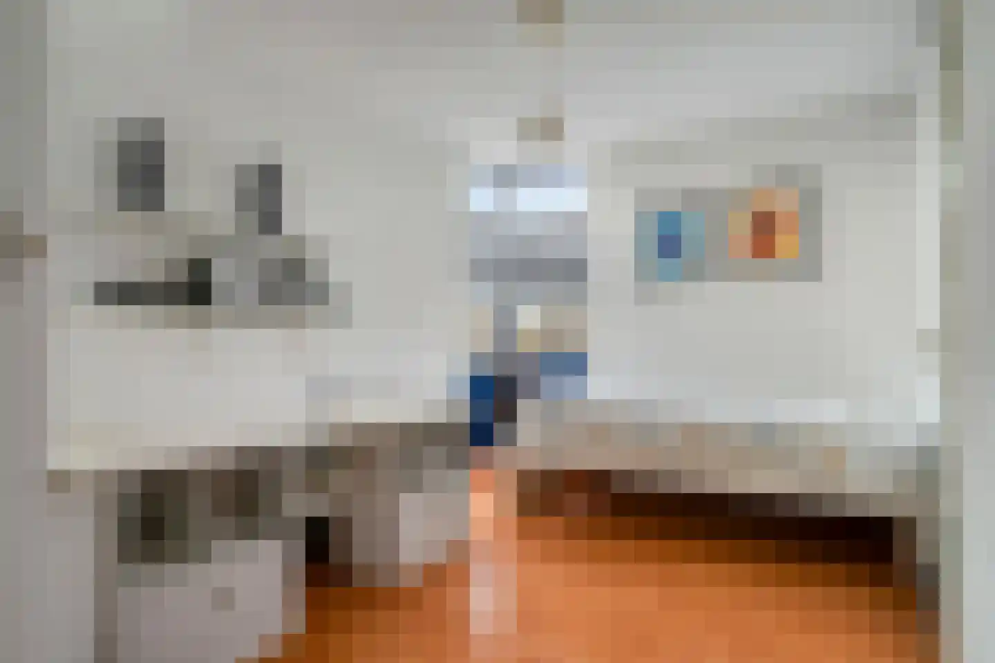 Seringelaar 7 Veghel thumbnail 49