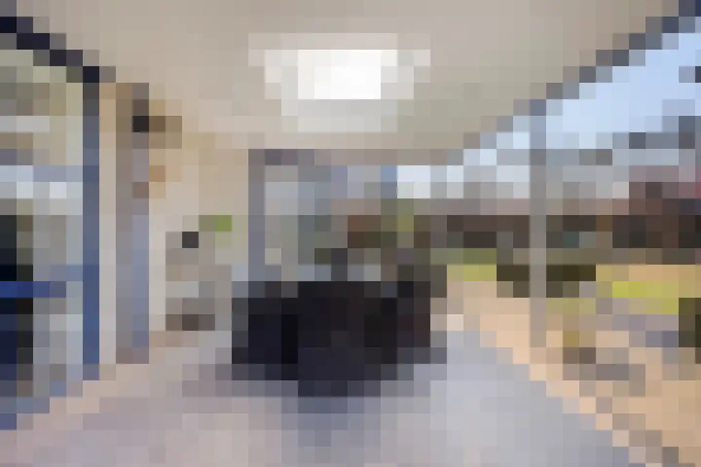 Seringelaar 7 Veghel thumbnail 54