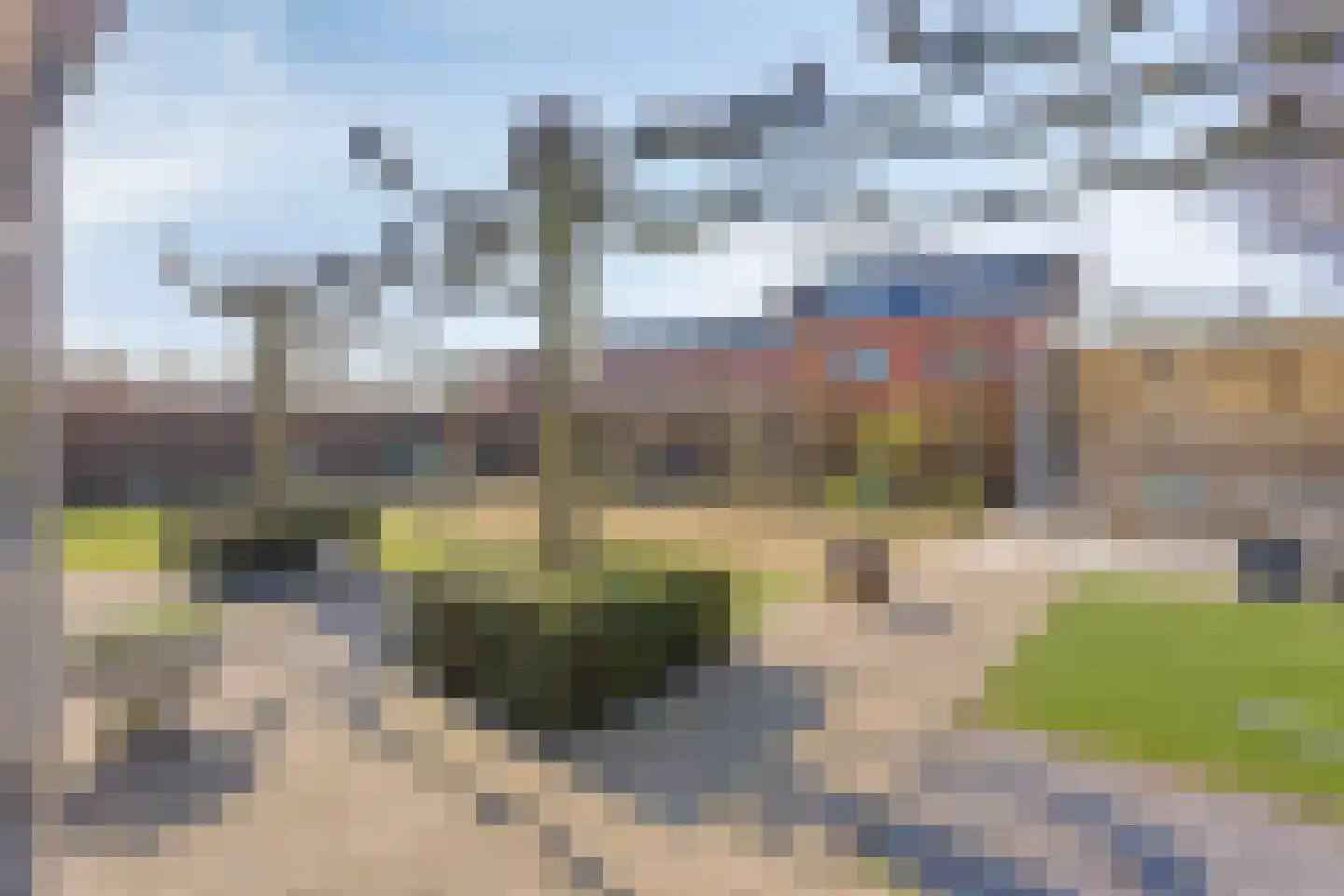 Seringelaar 7 Veghel thumbnail 58