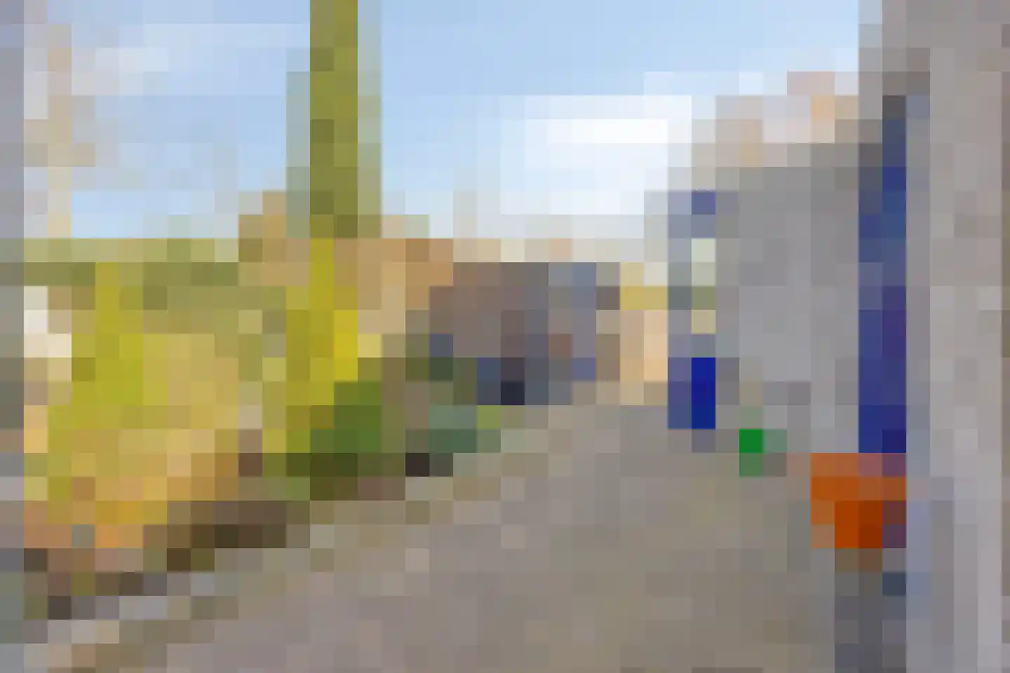 Seringelaar 7 Veghel thumbnail 71