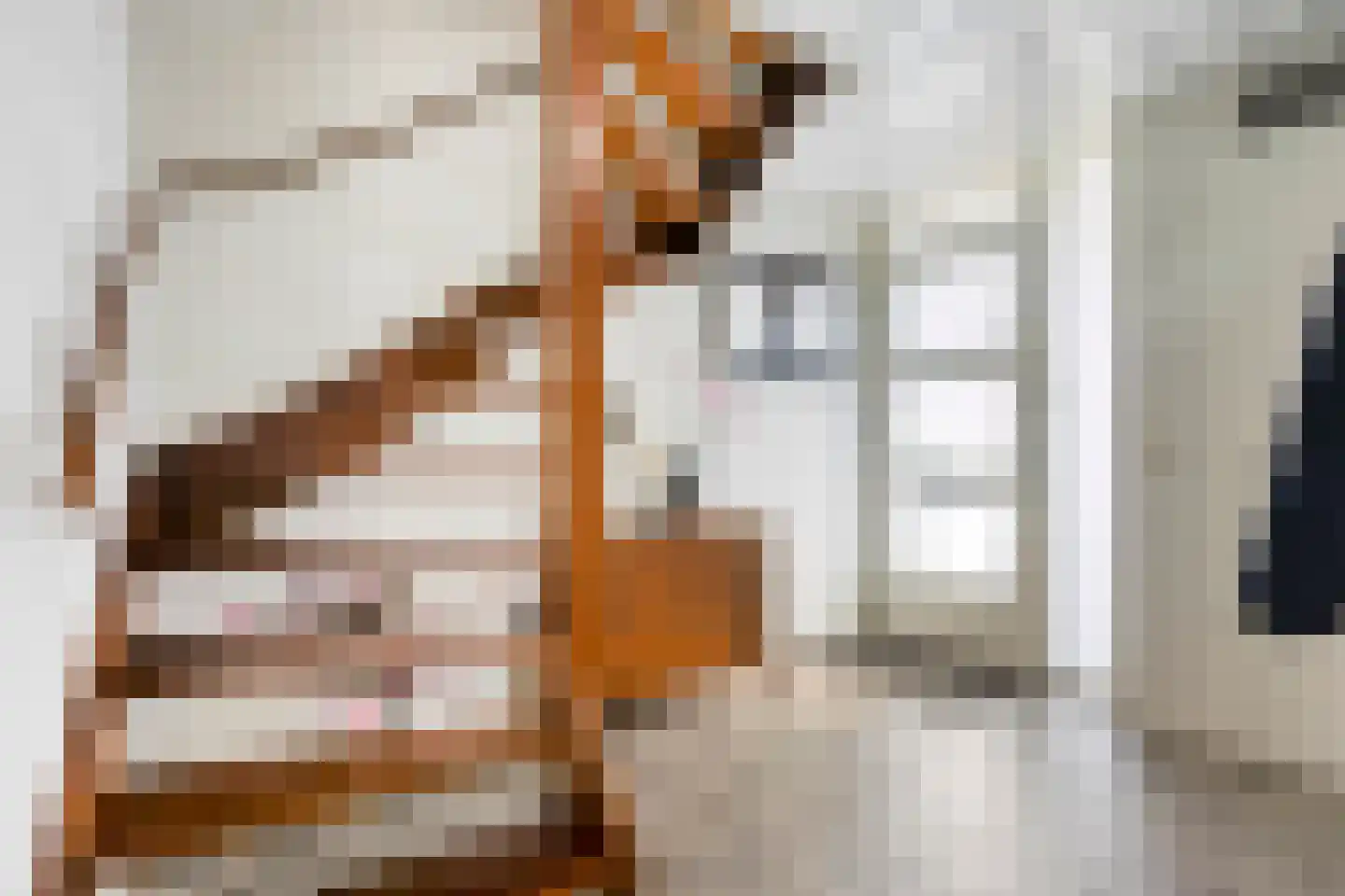 Seringelaar 7 Veghel thumbnail 8