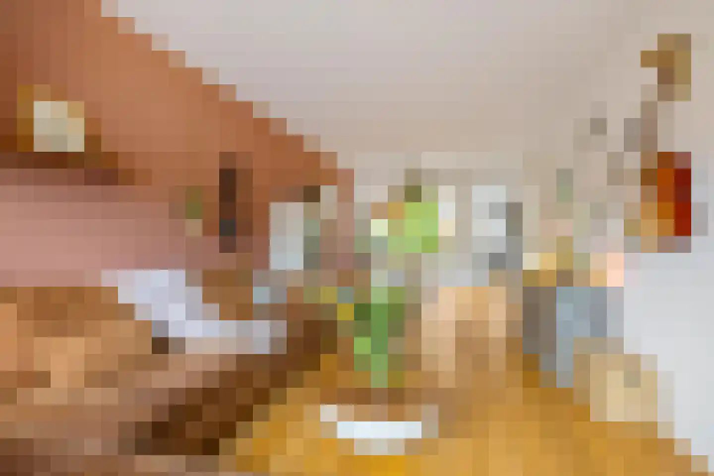 Seringenhof 10 Groningen thumbnail 20