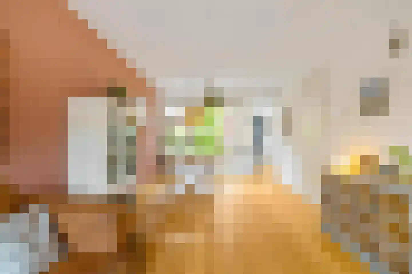 Seringenhof 10 Groningen thumbnail 21