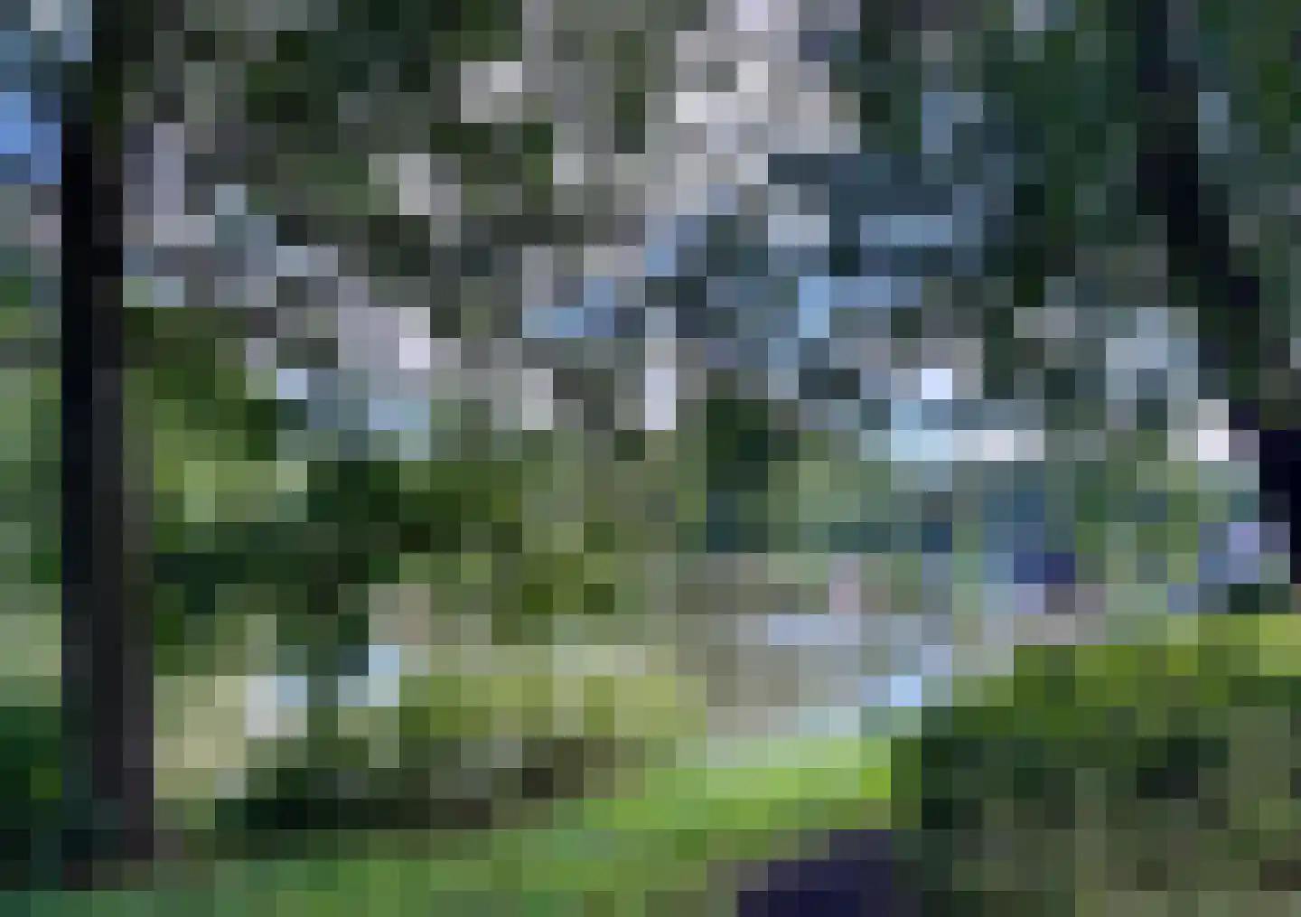 Seringenhof 10 Groningen thumbnail 55