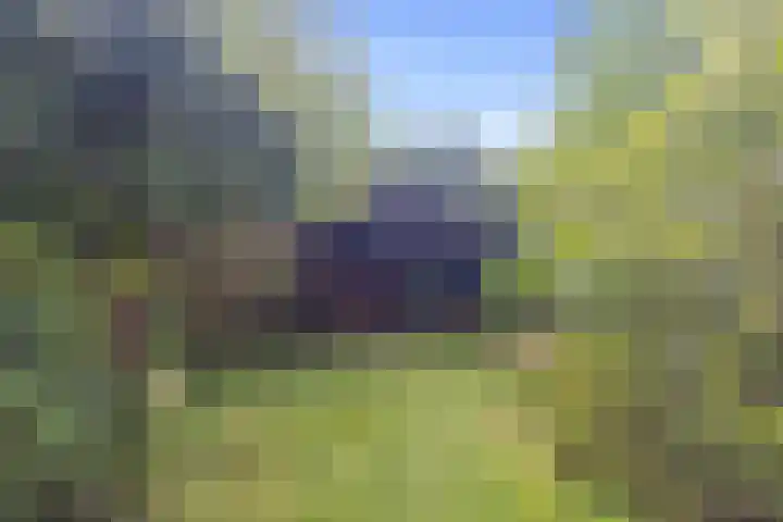 Seringenhof 11 Schagen thumbnail 10