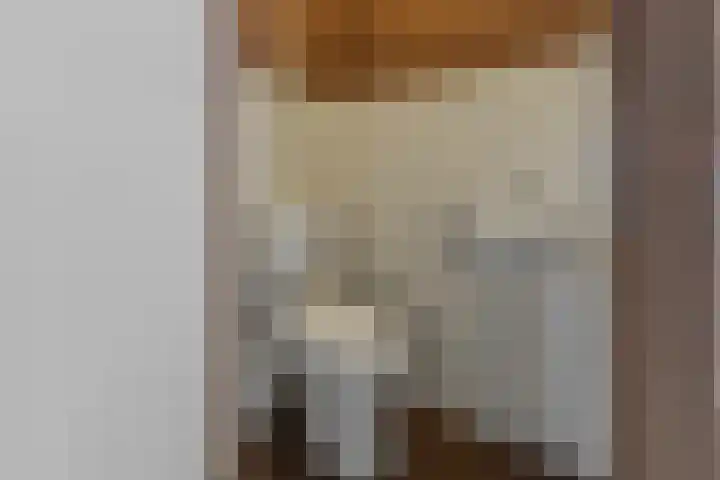 Seringenhof 11 Schagen thumbnail 12