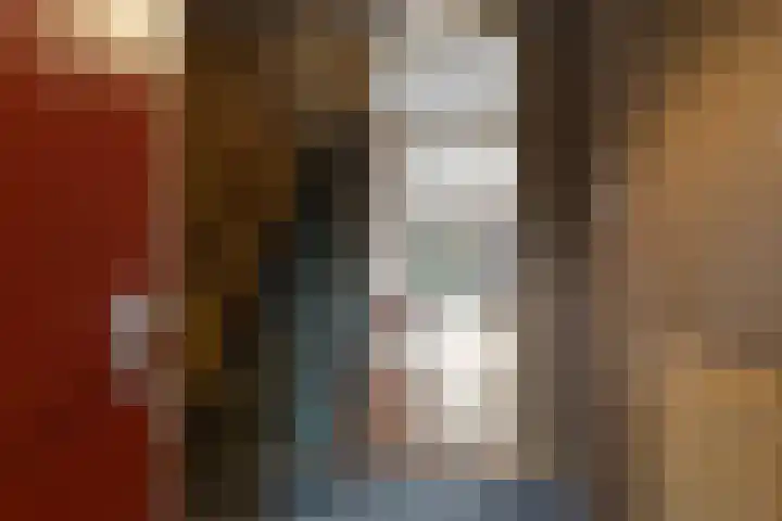 Seringenhof 11 Schagen thumbnail 13