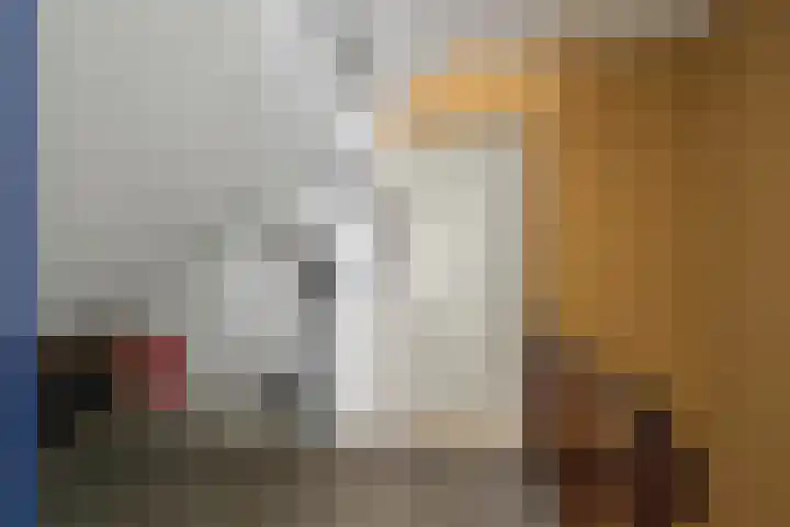 Seringenhof 11 Schagen thumbnail 21