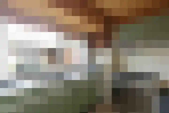 Seringenhof 11 Schagen thumbnail 9