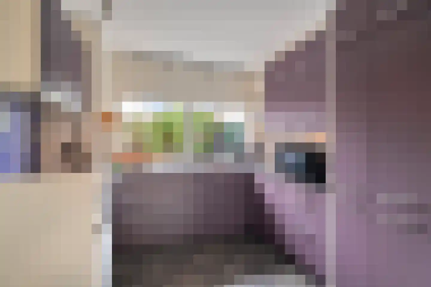 Seringenhof 13 Schagen thumbnail 17