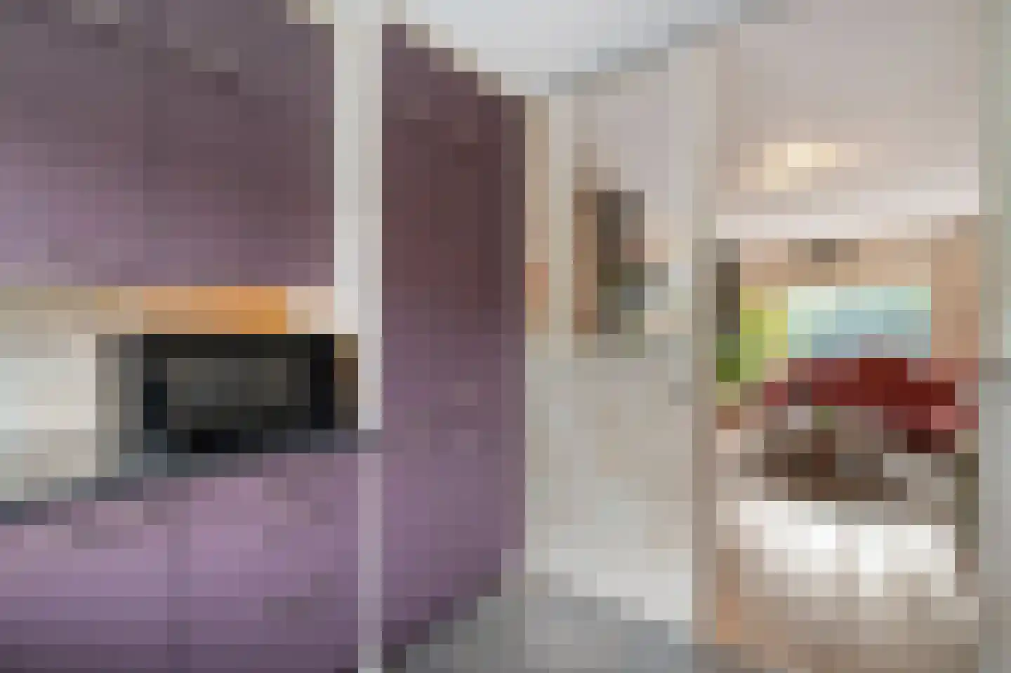 Seringenhof 13 Schagen thumbnail 18