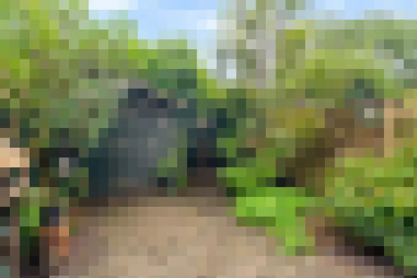 Seringenhof 13 Schagen thumbnail 22