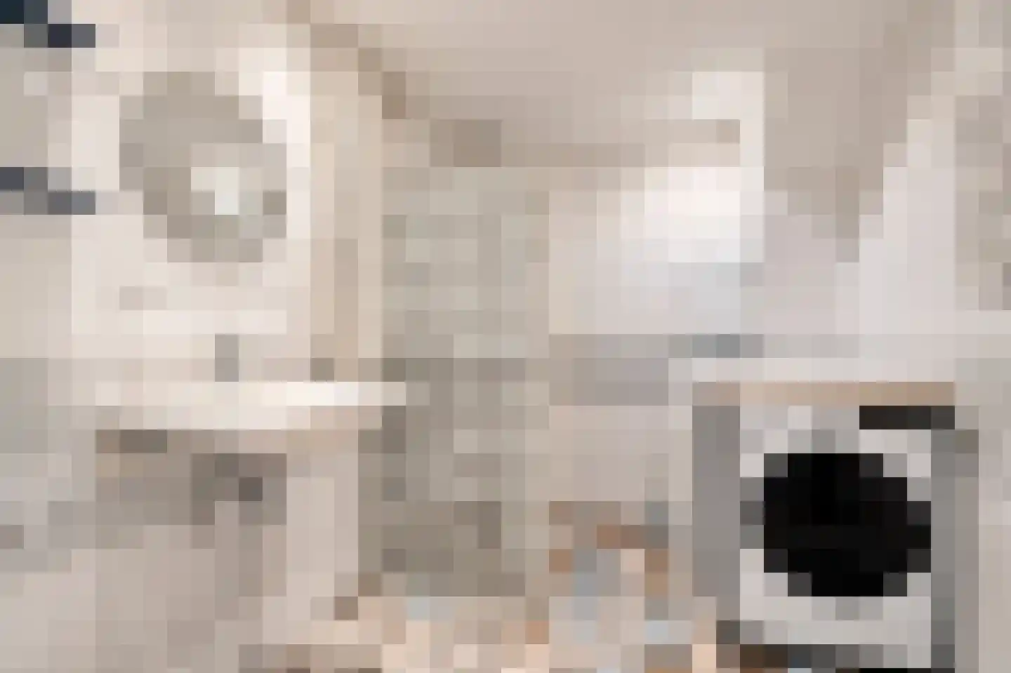Seringenhof 13 Schagen thumbnail 33