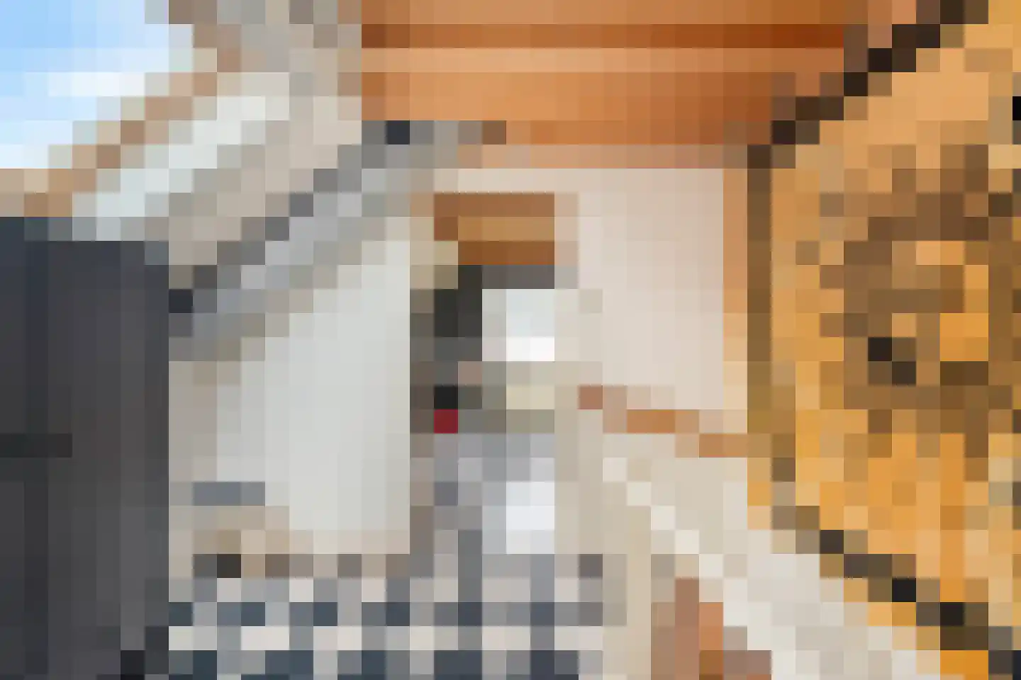 Seringenhof 13 Schagen thumbnail 37