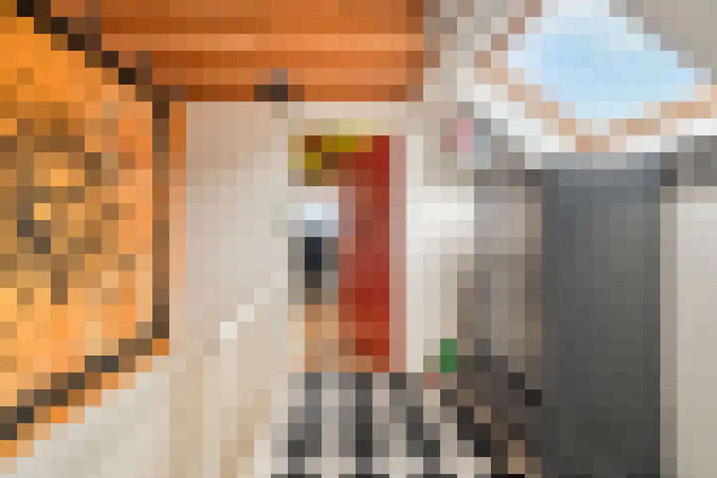 Seringenhof 13 Schagen thumbnail 39