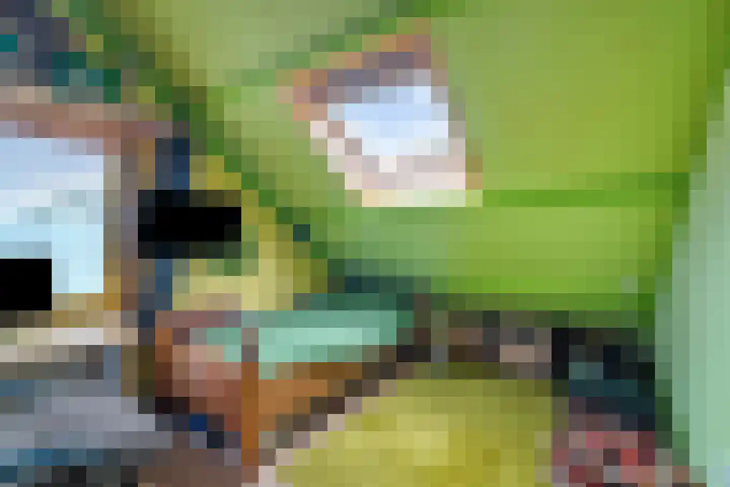 Seringenhof 13 Schagen thumbnail 41