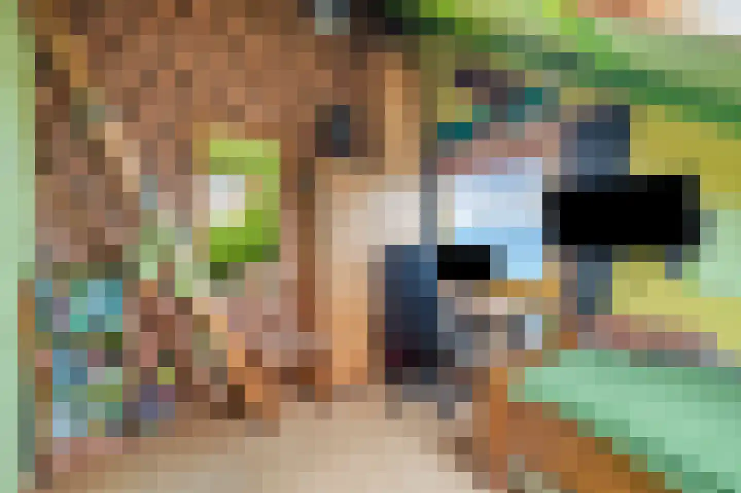 Seringenhof 13 Schagen thumbnail 42