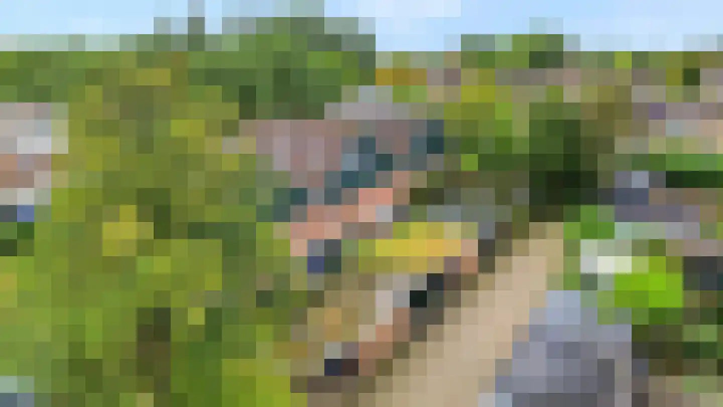 Seringenhof 13 Schagen thumbnail 45