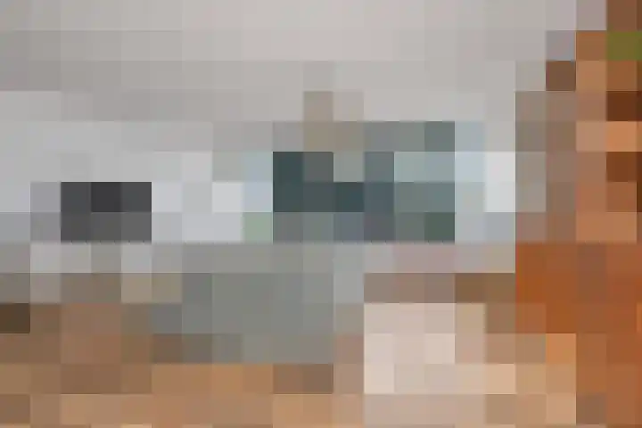 Seringenhof 136 Schagen thumbnail 13