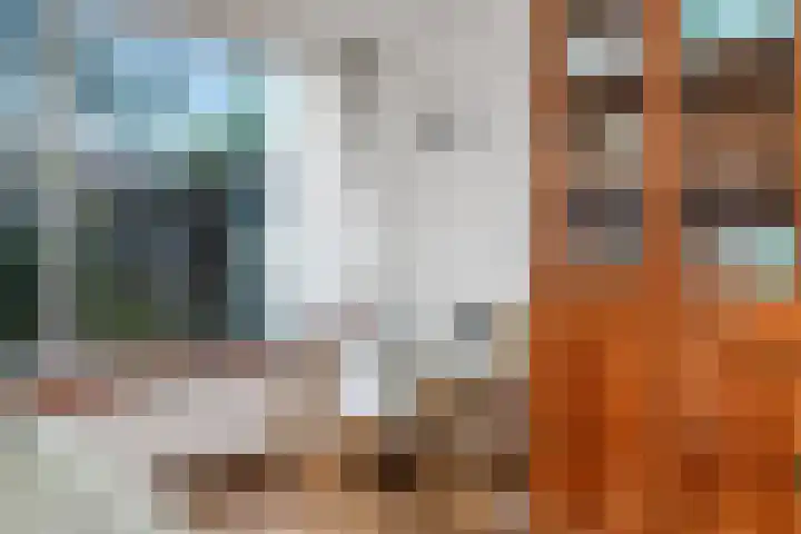Seringenhof 136 Schagen thumbnail 16