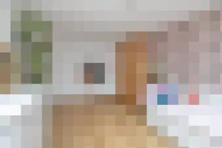 Seringenhof 136 Schagen thumbnail 21