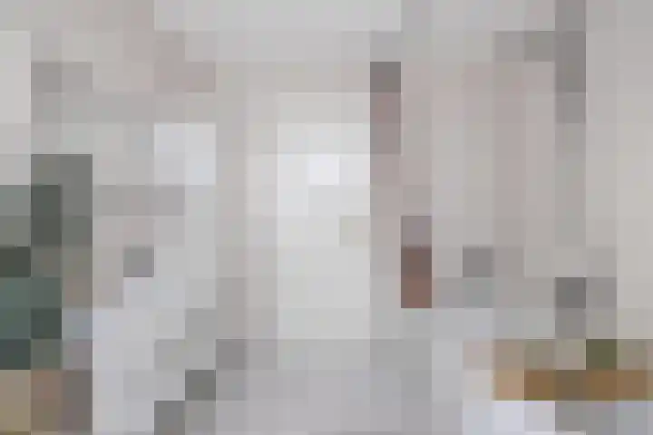 Seringenhof 136 Schagen thumbnail 25