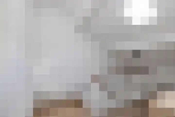 Seringenhof 136 Schagen thumbnail 29