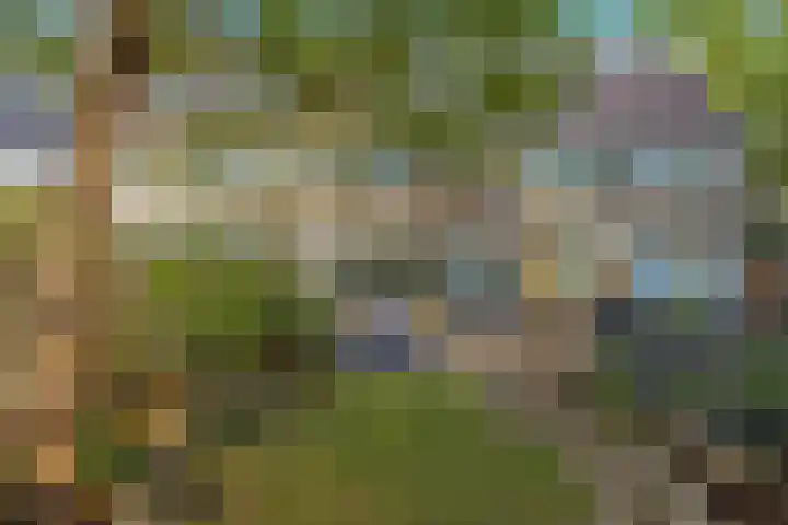 Seringenhof 136 Schagen thumbnail 33
