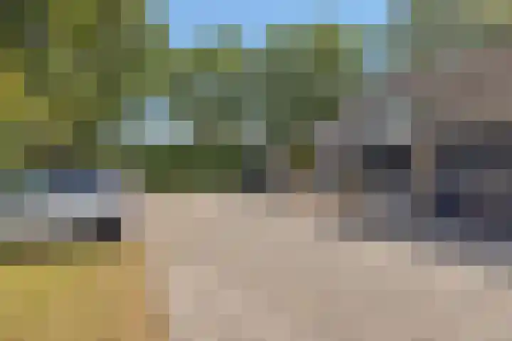 Seringenhof 136 Schagen thumbnail 34