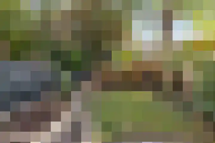 Seringenhof 136 Schagen thumbnail 5