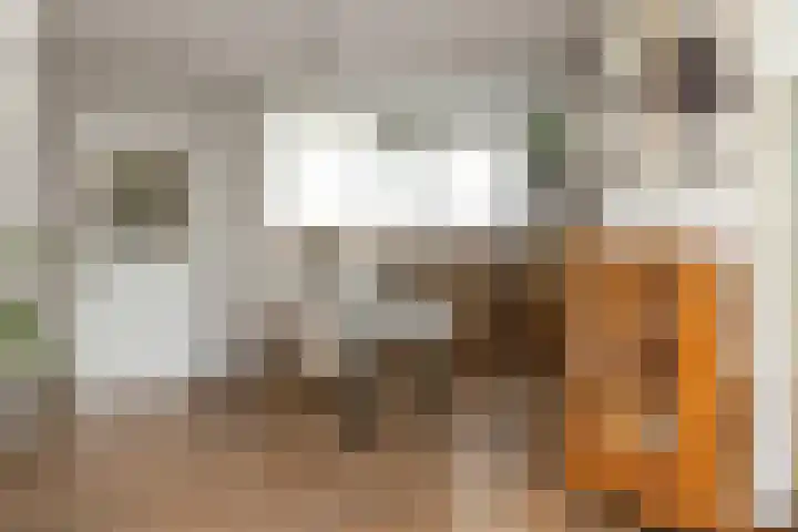 Seringenhof 136 Schagen thumbnail 8