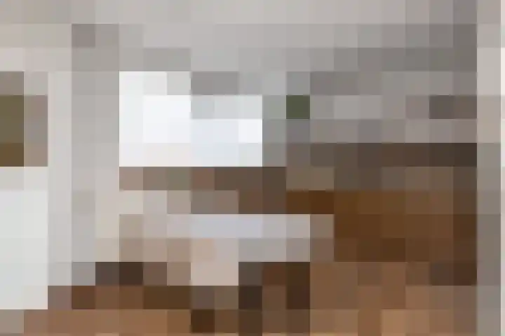 Seringenhof 136 Schagen thumbnail 9