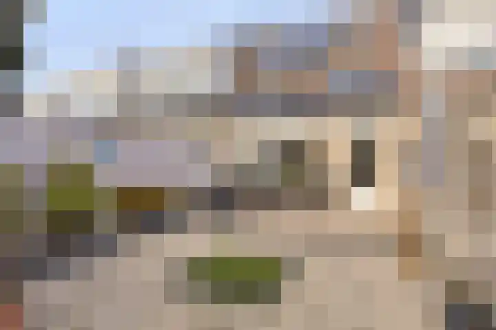 Seringenhof 17 's-Gravenzande thumbnail 33